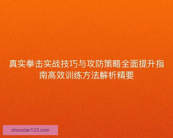 真实拳击实战技巧与攻防策略全面提升指南高效训练方法解析精要